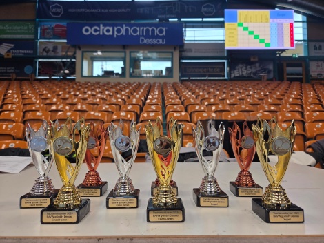 Tischtennisturnier 2025 in Dessau