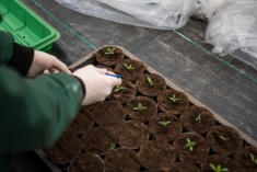 Tag der offenen Ausbildung - 2025